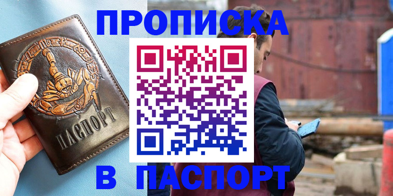 прописка в Вязьме